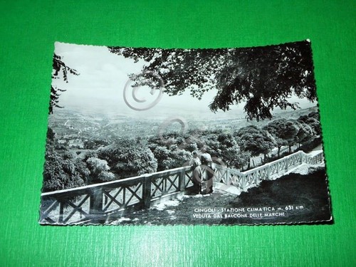 Cartolina cingoli veduta dal - -,