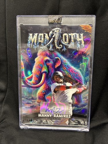 Manny ramirez 2024 - 1, wild
