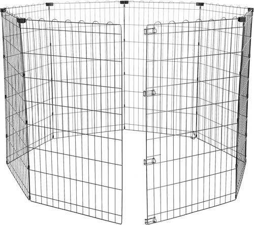 Box per esercizi - esercizi, cani