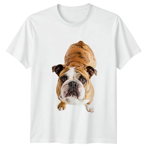 English bulldog portrait - english,