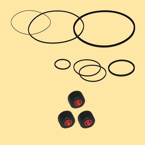 Cinghia rullo pressione - , kit