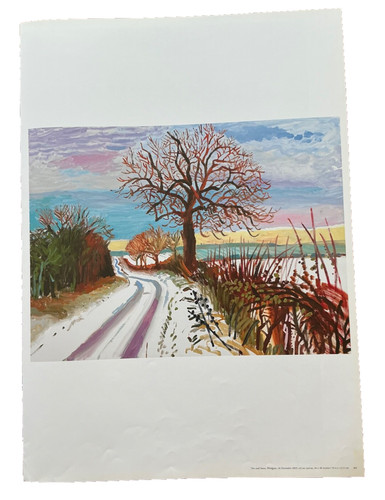 David hockney albero neve - david,