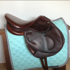 Splendido! Sella da cross