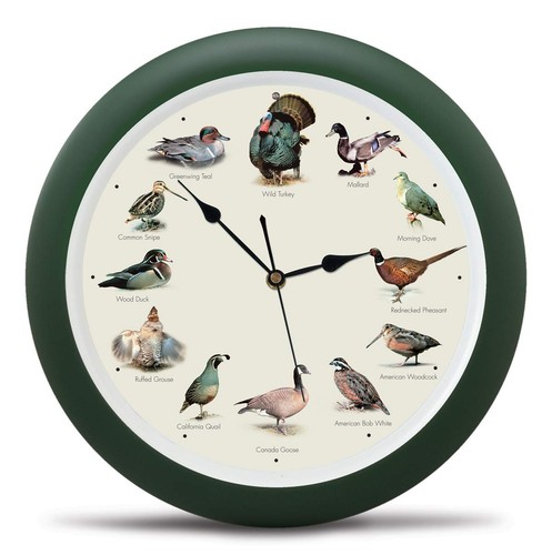Orologio parete sing wild - parete,