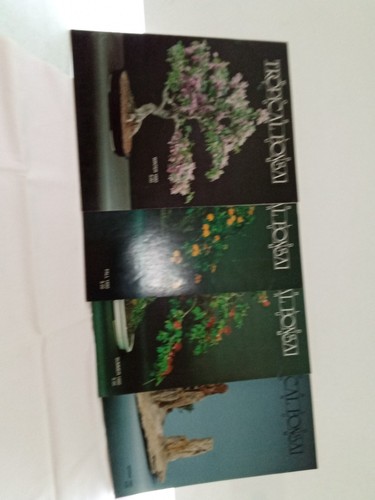 Bonsai magazines - bonsai,