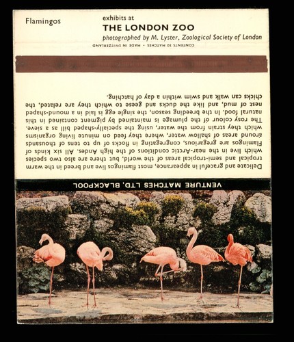 Long matchbook london - matchbook,