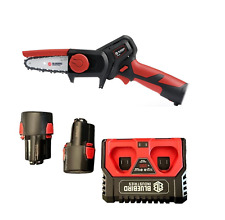 Blue Bird Potatore a Batteria CS 22-04 con 2 batterie 2,5 Ah caricabatteria