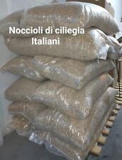 Noccioli di ciliegia Italiani  1 kg per creare cuscini - Nocciolo Di Ciliegio