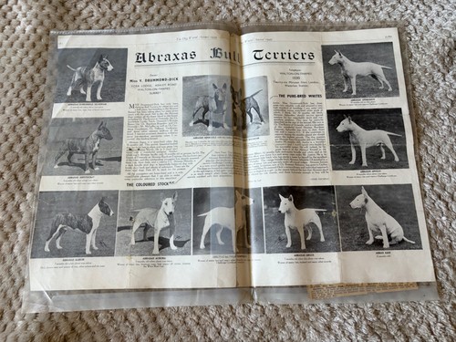 Rare 1949 dog world - rare,