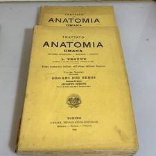 Trattato anatomia umana - trattato, in