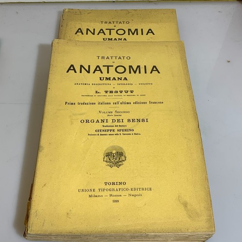 Trattato anatomia umana in - anatomia,