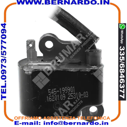 Bobina elettronica motosega - elettronica,