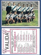 FIGURINA CALCIATORI PANINI