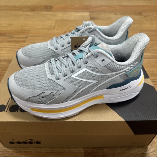 Diadora cellula - cellula,