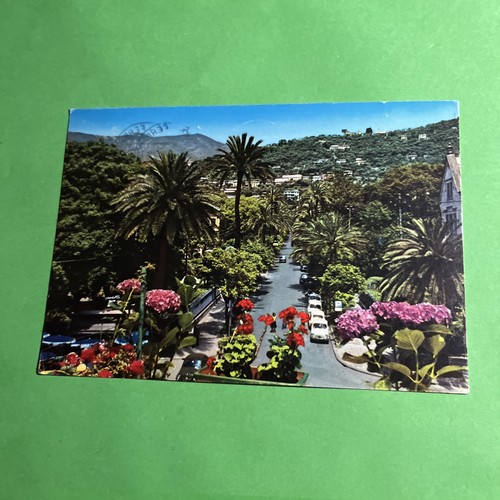 Nervi viale delle - viale, palme