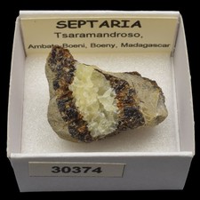 SEPTARIA (Tsaramandroso, Ambato-Boeni, Boeny,  Madagascar) #30374 / Septarian
