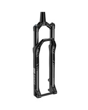 DT Swiss F 232 ONE 29"