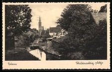 Cartolina Edam, scudo plekje 