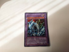 Cavaliere signore dei draghi