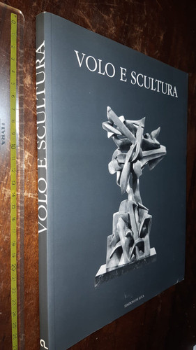 Libro volo scultura - libro:🌎volo,