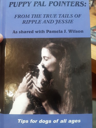 Puppy pal pointers pamela - puppy,