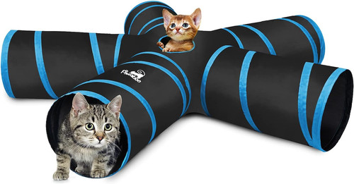 Tunnel per gatti - gatti,, uscite