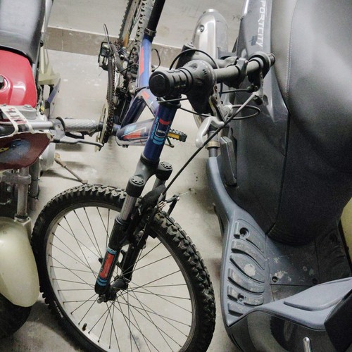 Bici mountain bike - mountain,