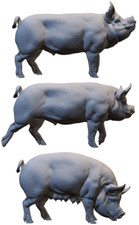 Miniature maiali per - , diorami