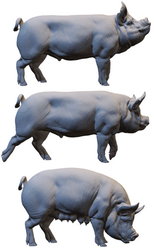Miniature maiali per - diorami, e