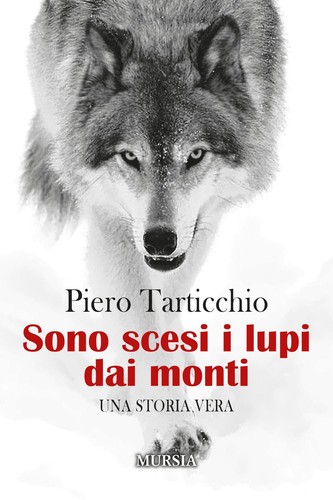 Libri piero tarticchio - tarticchio,