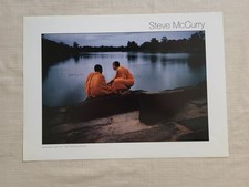 Bellissima fotografia di Steve