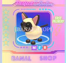 MFR GATTO SIAMESE - MEGA FLY