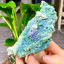 124G Agata d'uva viola