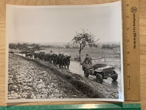 Ww2 foto corpo segnaletica - foto,