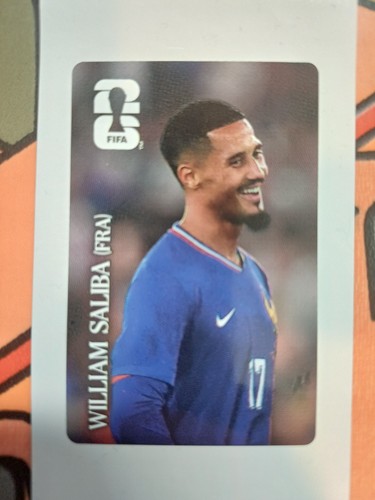 Panini fifa world cup - panini,