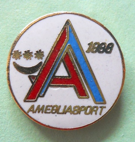 Distintivo spilla pin badge - distintivo,