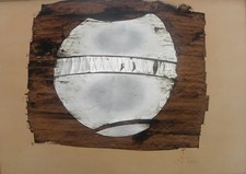 Simon BENETTON (Treviso