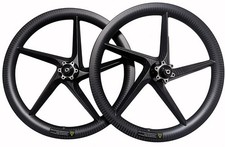 Bicicletta pieghevole 20