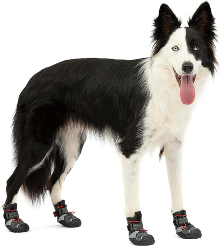Blaze scarpe per cani in - scarpe,