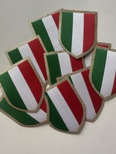 Patch ufficiale campionato - ufficiale,