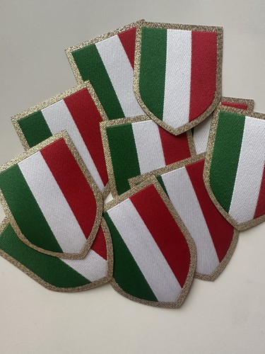 Patch ufficiale campionato - patch,