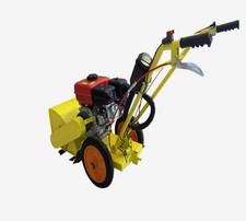  Diserbante a benzina per