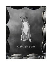 Pinscher Austriaco - Cristallo
