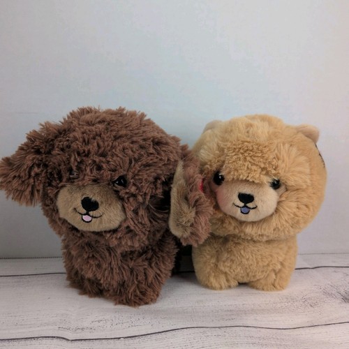 Aurora peluche - peluche, chow
