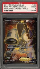 Pokemon Terrakion EX Dragons