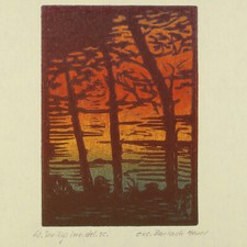 Paesaggio sul lago xilografia - paesaggio,