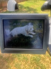 Videocamera Panasonic
