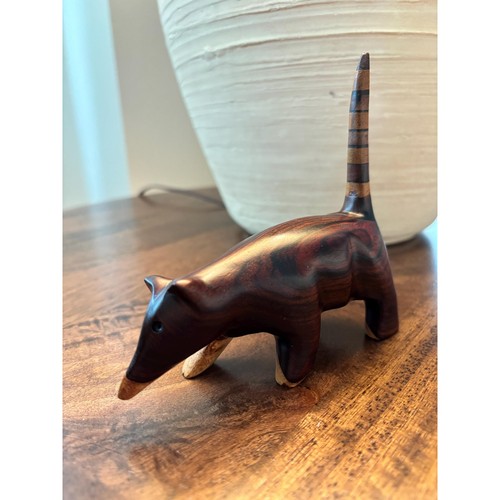 Rara statuina coatimundi - coatimundi, in