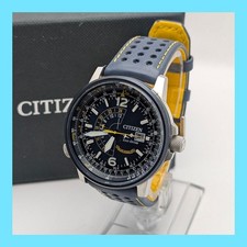 Citizen Promaster Nightsky