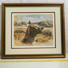 Stampa Di Cani Bracco Tedesco